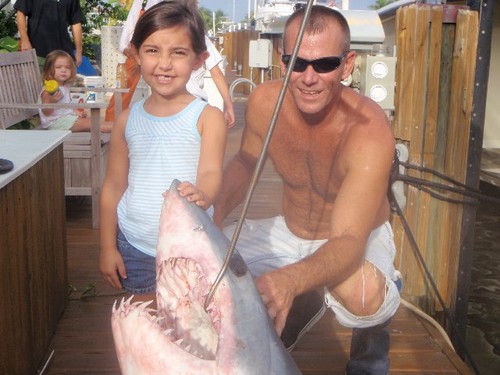 400lb Shortfin Mako