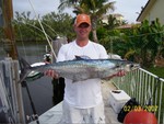 Scott's Kingfish