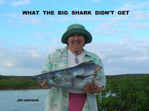 Big Hoo... Bigger Shark!