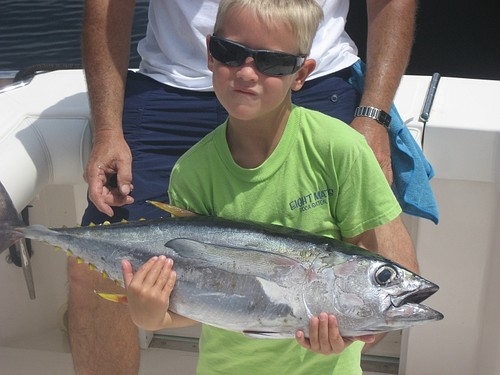 Frank's Yellowfin Tuna