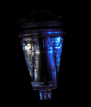 Electralume LED Light, Blue-White combo