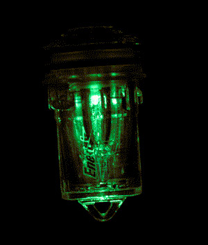 Electralume LED Light, Green