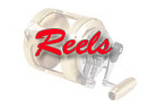 Fishing Reels