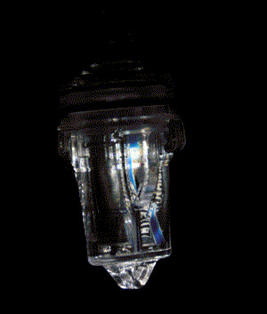 Electralume LED Light, White