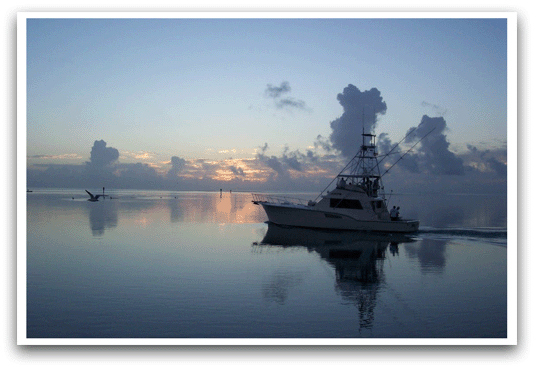 Swordfishing Charters